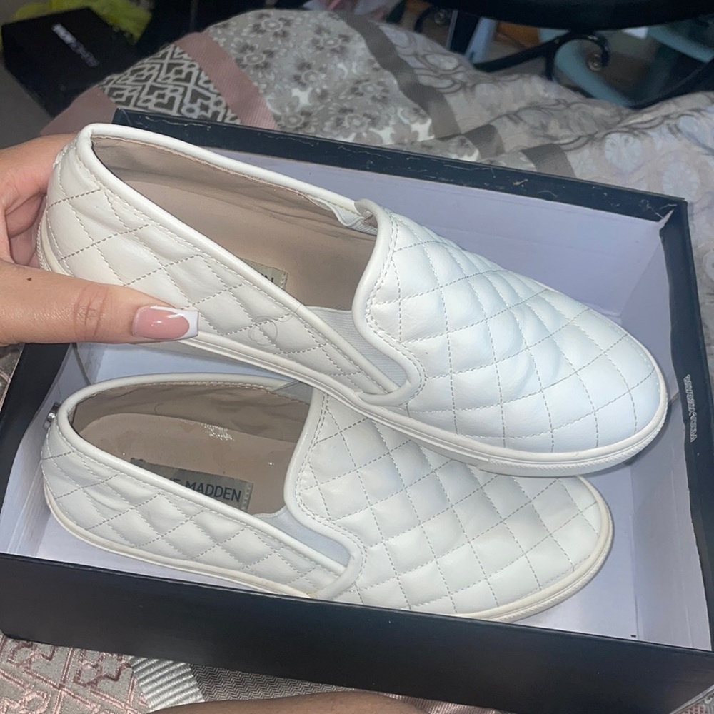 Steve Madden Ecentrcq Sneakers